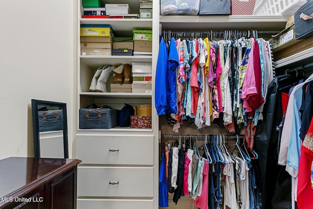 view of spacious closet