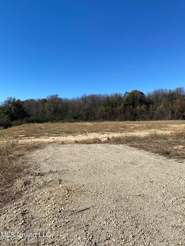 7 Highland Mdws, Minor Lot, Hernando MS, 38632 land for sale