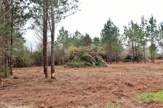 Listing photo 3 for 0.82AC Shannon Ln, Lucedale MS 39452