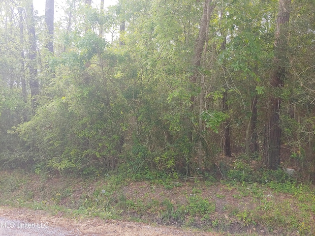 Pearl St, Bay Saint Louis MS, 39520 land for sale