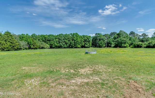 view of yard featuring a rural view and a forest view