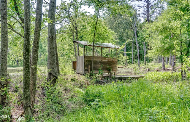 view of yard with a wooded view