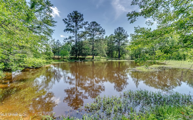 water view featuring a forest view