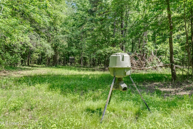 view of yard featuring a wooded view