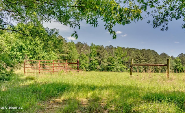 view of yard with a view of trees