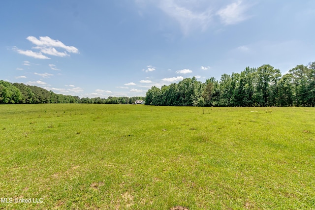 view of local wilderness with a rural view and a wooded view