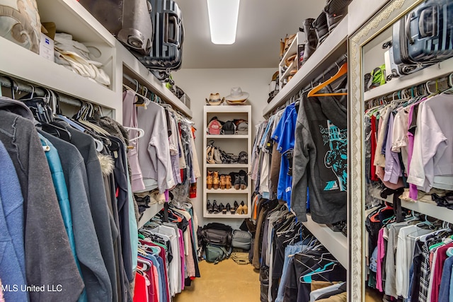 view of spacious closet