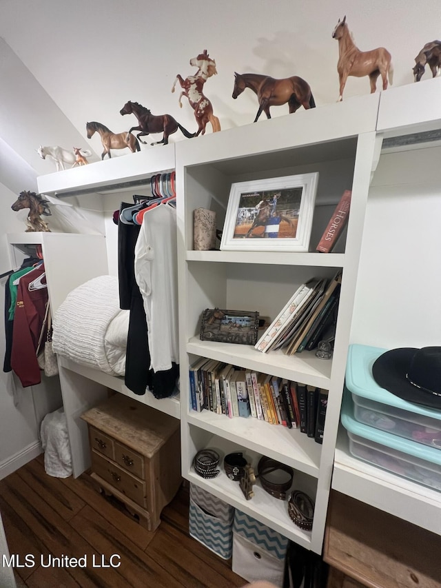 spacious closet with wood finished floors