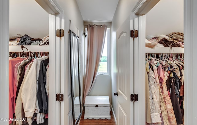 view of closet