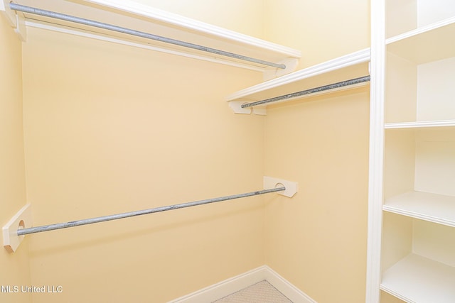view of spacious closet