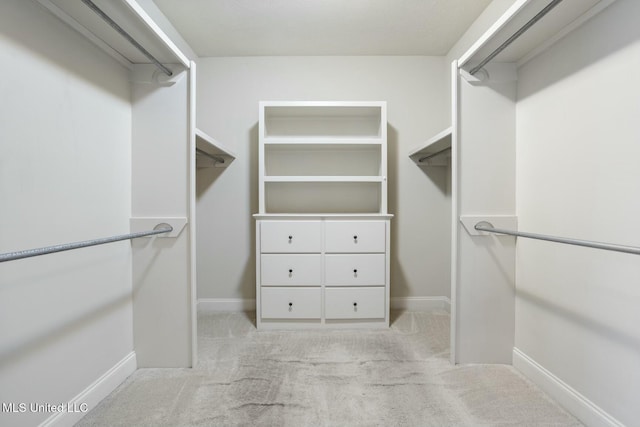 spacious closet with light carpet