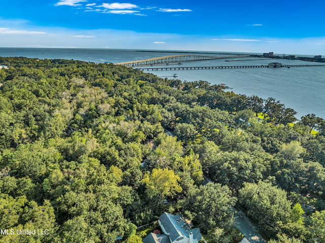 drone / aerial view with a water view