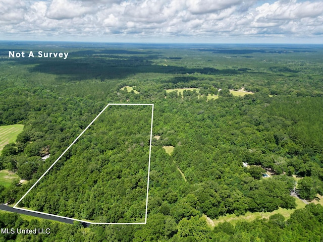 TRACT2 Gumpond Beall Rd, Lumberton, MS 39455