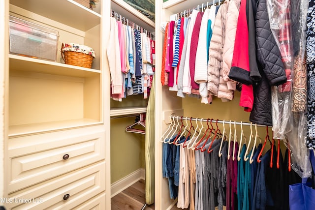 704 Tortoise Rdg, Brandon, MS 39047 - walk in closet with wood finished floors