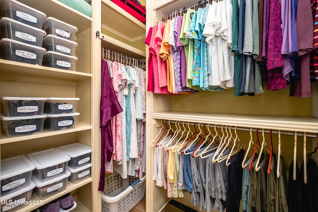 704 Tortoise Rdg, Brandon, MS 39047 - view of spacious closet