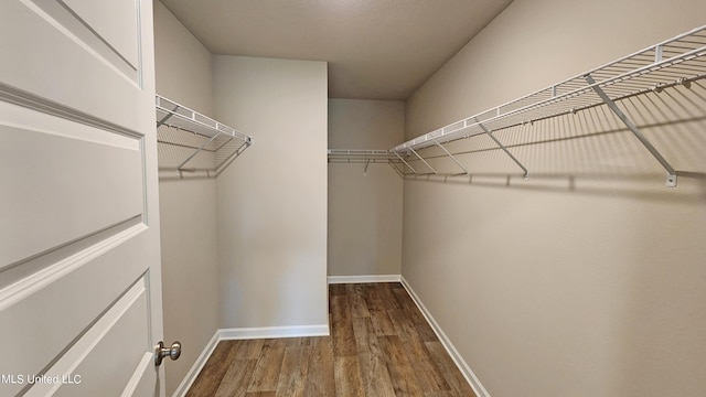 walk in closet with hardwood / wood-style floors