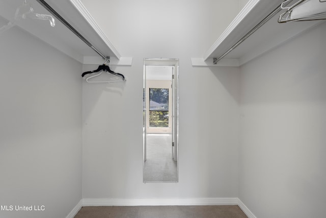 spacious closet with carpet flooring