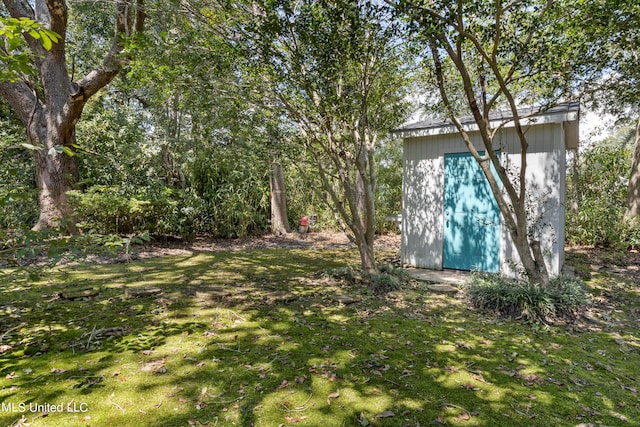 view of yard with a shed