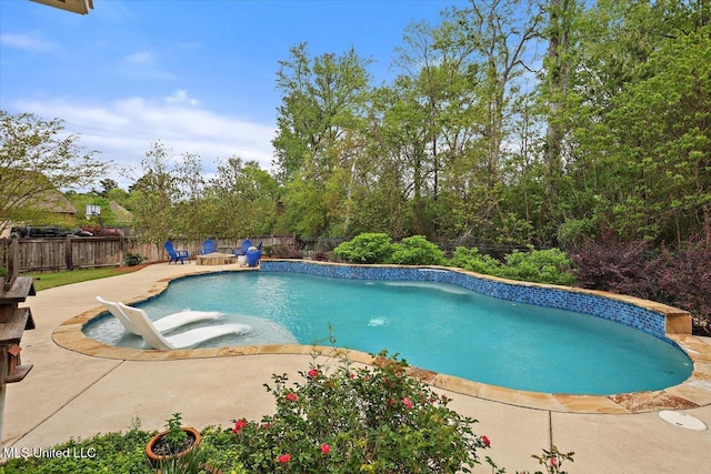 view of pool featuring a fenced in pool, a patio area, and a fenced backyard