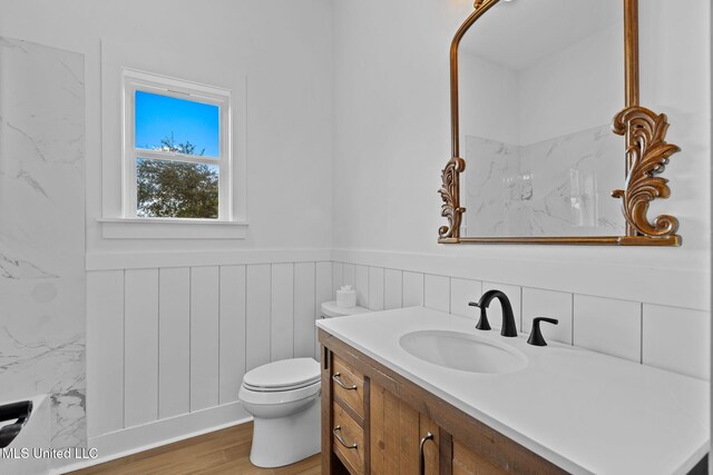 bathroom with vanity, toilet, and wood-type flooring