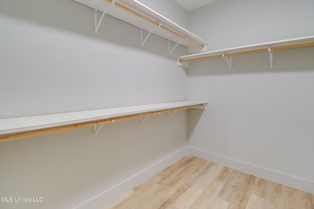 walk in closet with hardwood / wood-style floors