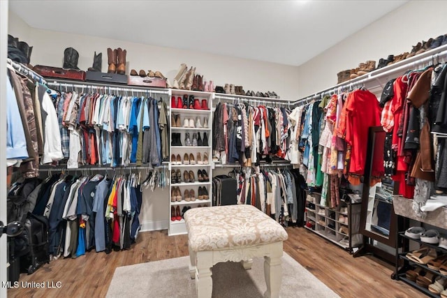 walk in closet featuring wood finished floors