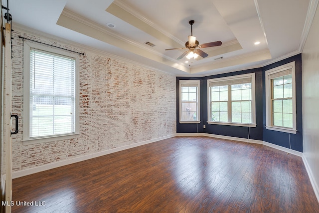 spare room with dark hardwood / wood-style flooring, a tray ceiling, and a wealth of natural light