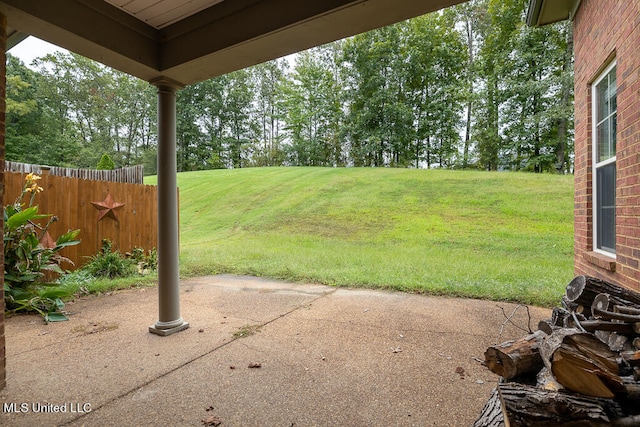 view of yard featuring a patio