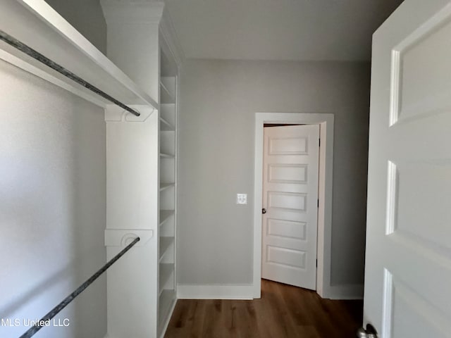 spacious closet with dark hardwood / wood-style flooring