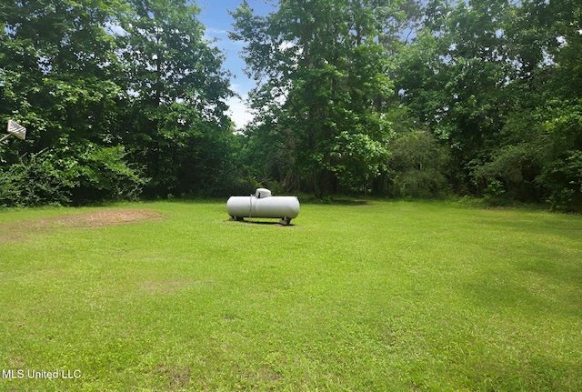 1124 J J Carter Rd, Magnolia, MS 39652 - view of green lawn