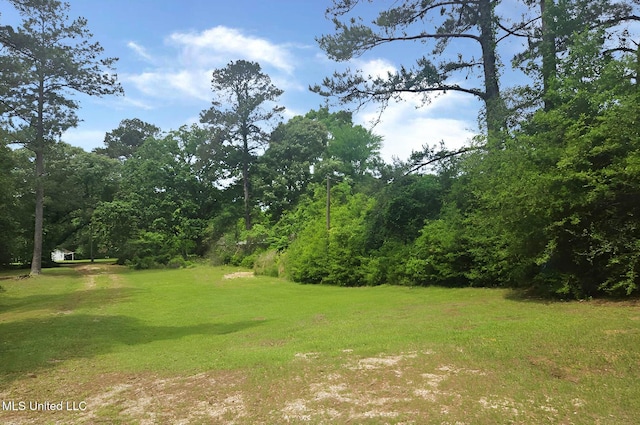 1124 J J Carter Rd, Magnolia, MS 39652 - view of grassy yard