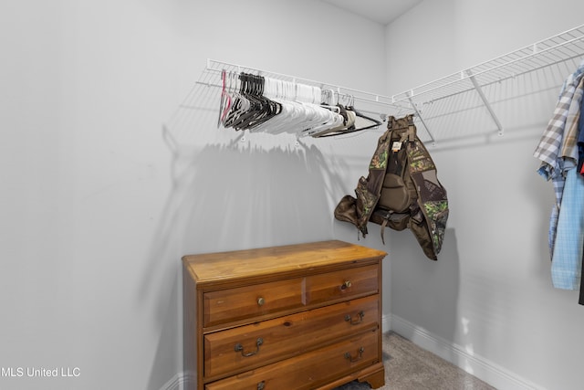 walk in closet featuring carpet