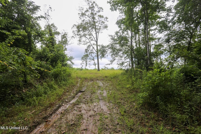 Gowall Rd, Vicksburg, MS 39180
