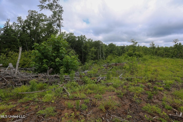 Gowall Rd, Vicksburg, MS 39180