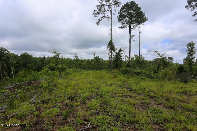 Gowall Rd, Vicksburg, MS 39180