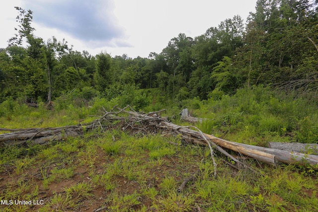 Gowall Rd, Vicksburg, MS 39180