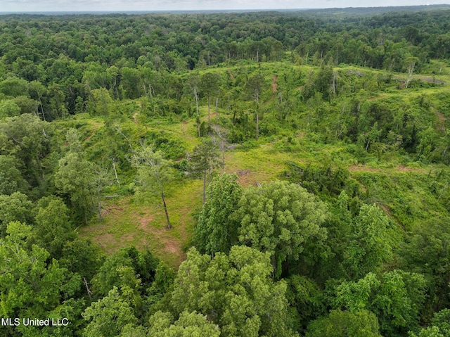 Gowall Rd, Vicksburg, MS 39180