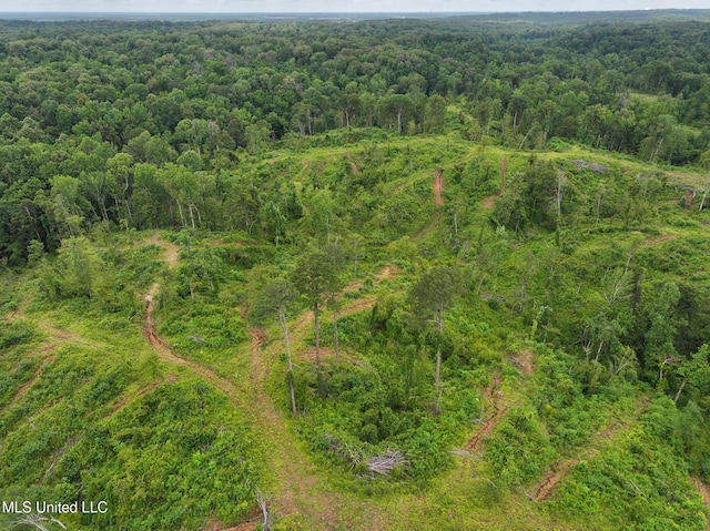 Gowall Rd, Vicksburg, MS 39180