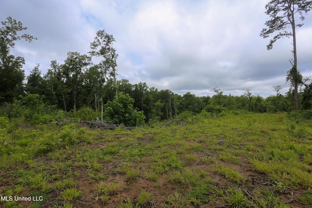 Gowall Rd, Vicksburg, MS 39180