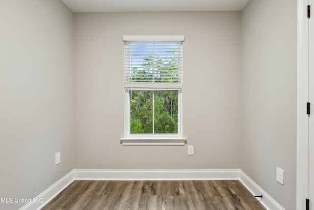 spare room with wood-type flooring