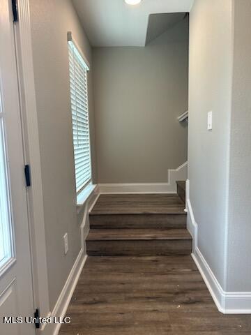 staircase with a healthy amount of sunlight and hardwood / wood-style flooring