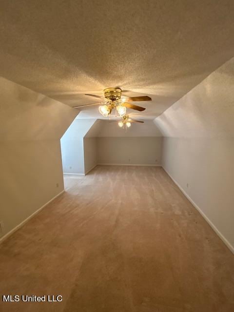 additional living space with lofted ceiling, a textured ceiling, and light colored carpet