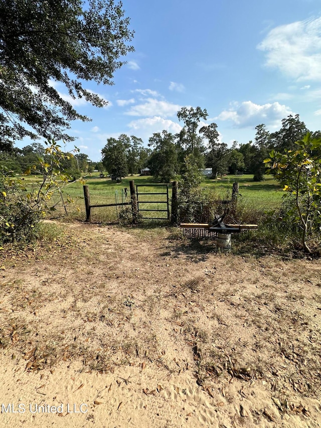 view of yard with a rural view