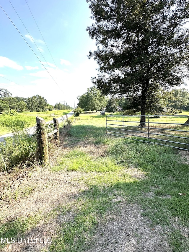 view of yard featuring a rural view