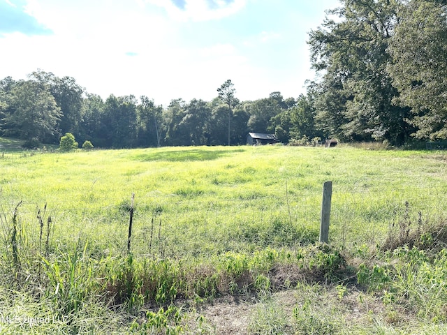 view of yard with a rural view