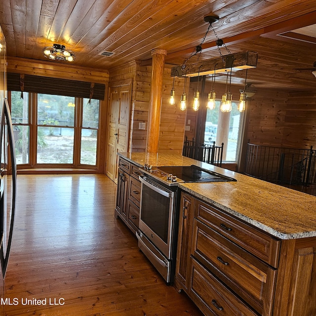 kitchen with decorative light fixtures, a wealth of natural light, wood-type flooring, and appliances with stainless steel finishes