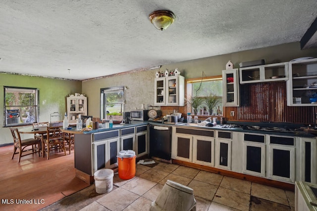 9 Gail St, Hattiesburg, MS 39402 - kitchen featuring dishwasher, healthy amount of natural light, a textured ceiling, dark countertops, and glass insert cabinets