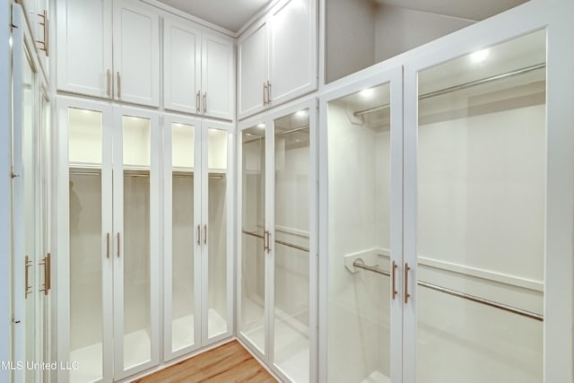 spacious closet with light hardwood / wood-style flooring