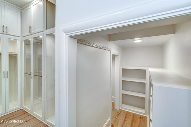 spacious closet featuring light hardwood / wood-style flooring