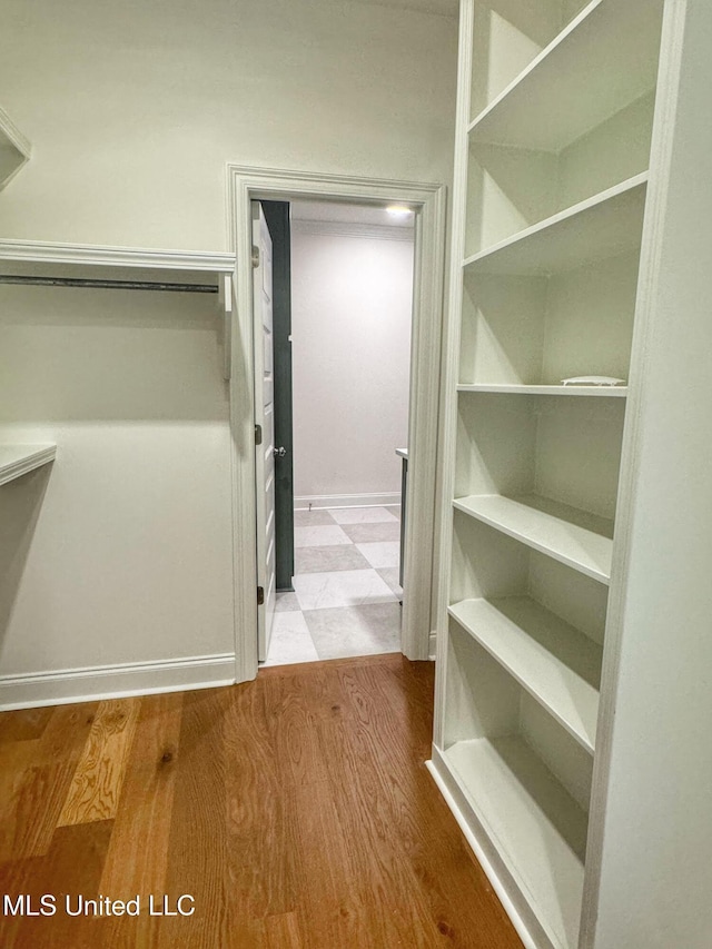 spacious closet with light wood-type flooring